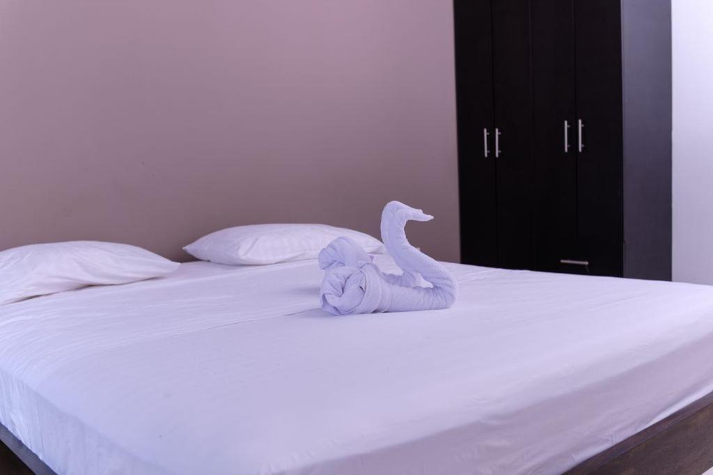 Resort Marianza Necoclí 外观 照片